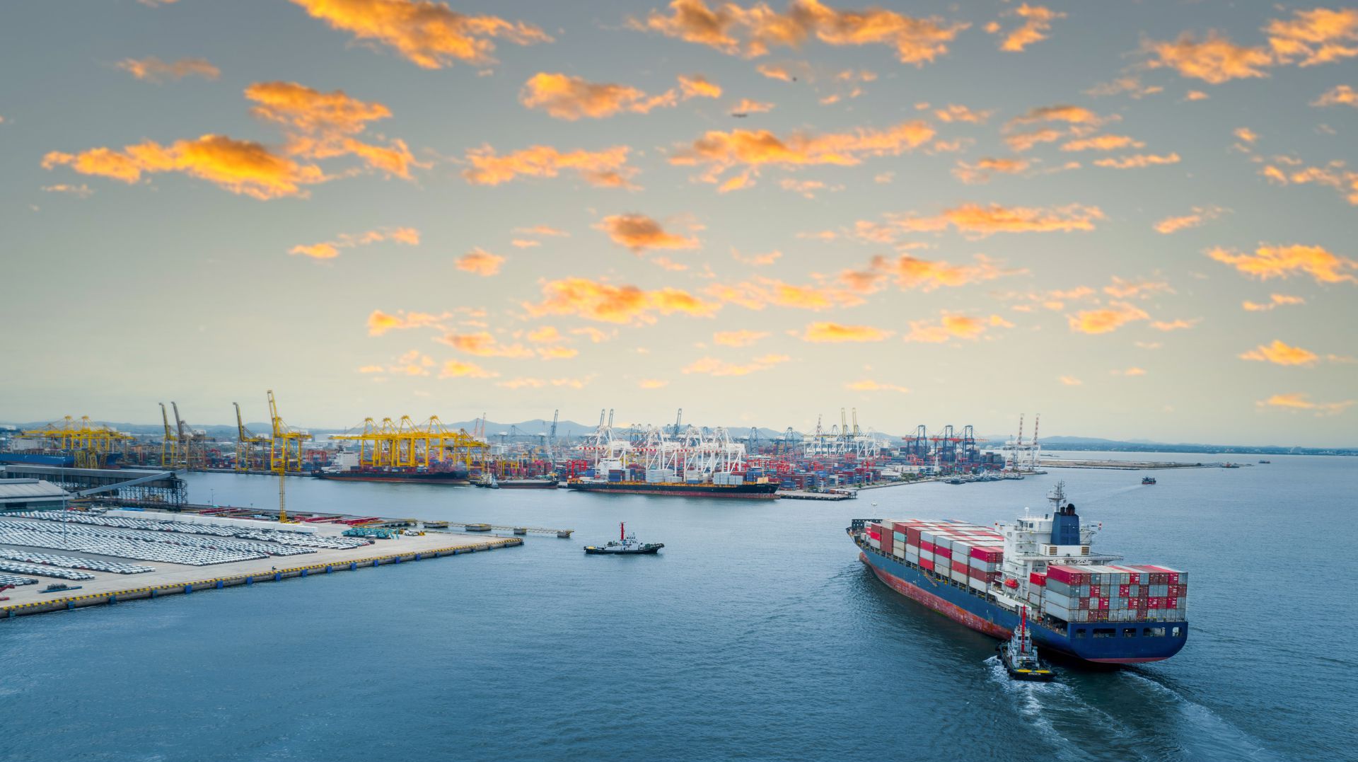 Project Featured Image